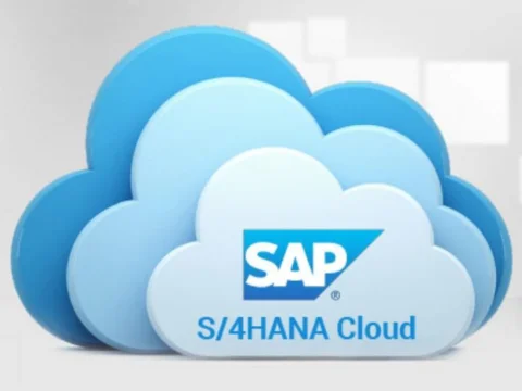 Using SAP to Empower SMEs